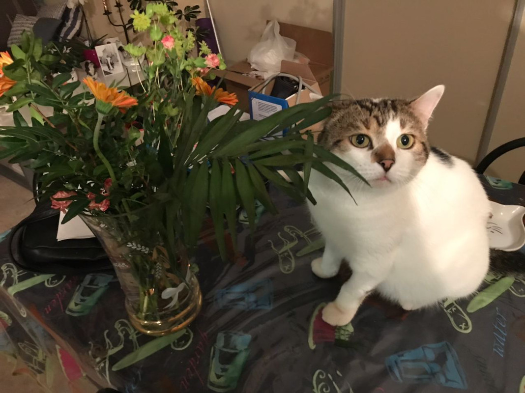 356576ED-B1AA-42BC-8E88-2EF5F997C0AD