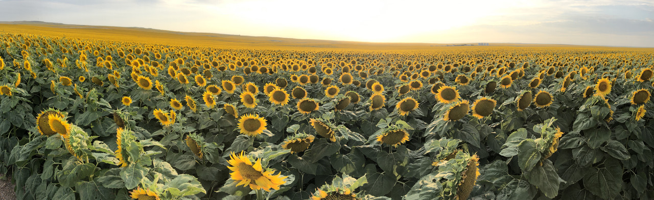 2-A04-BE3-E-4-B16-429-F-939-C-F26-F91-D4