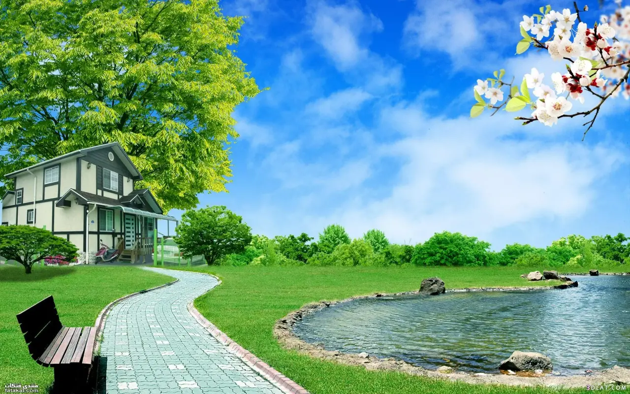 [Image: image.webp]