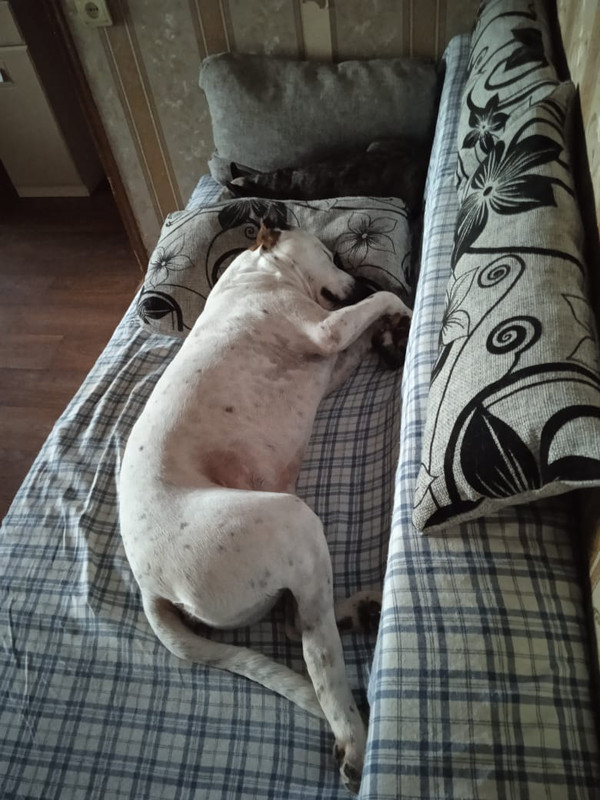 CB93370E-F4E6-4AEC-9733-054F2EF0BC64