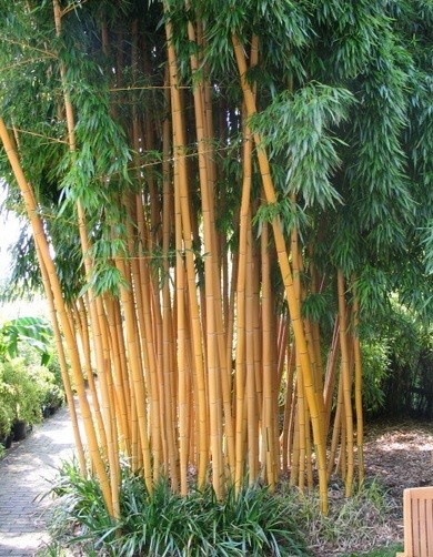 B913287A-EC83-4168-817D-DCD3621668A2