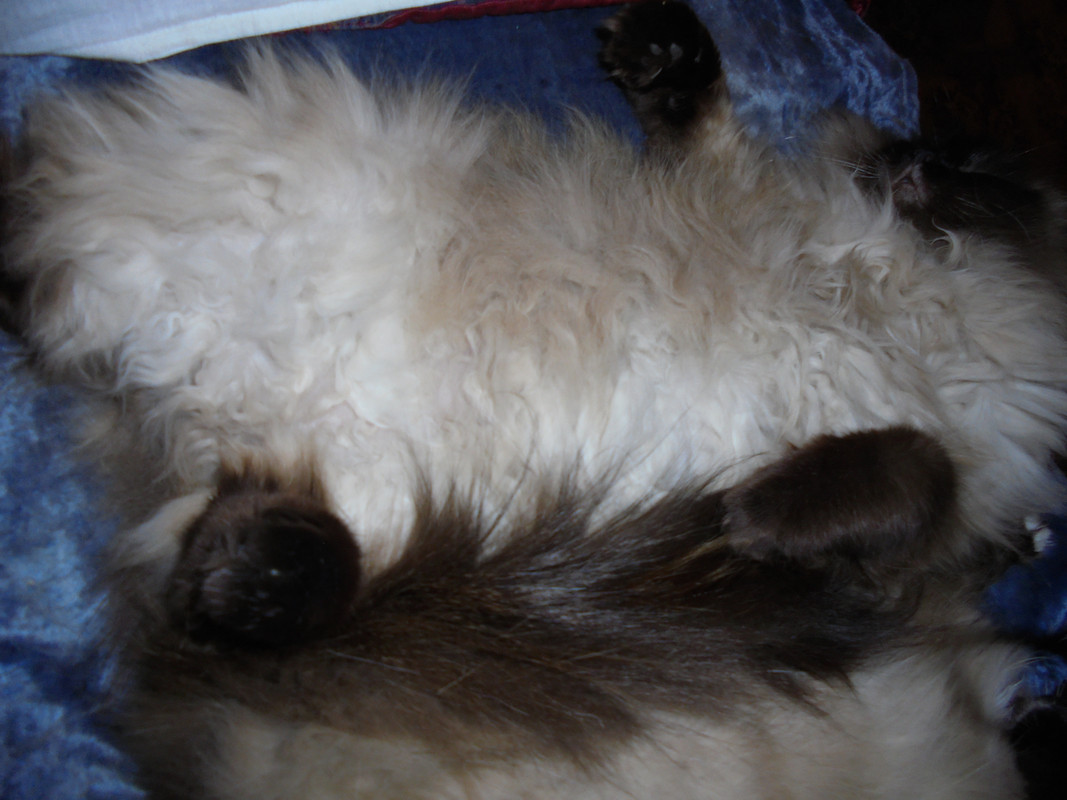 DSC01323.jpg