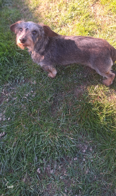 [Image: 20250318-152938.jpg]