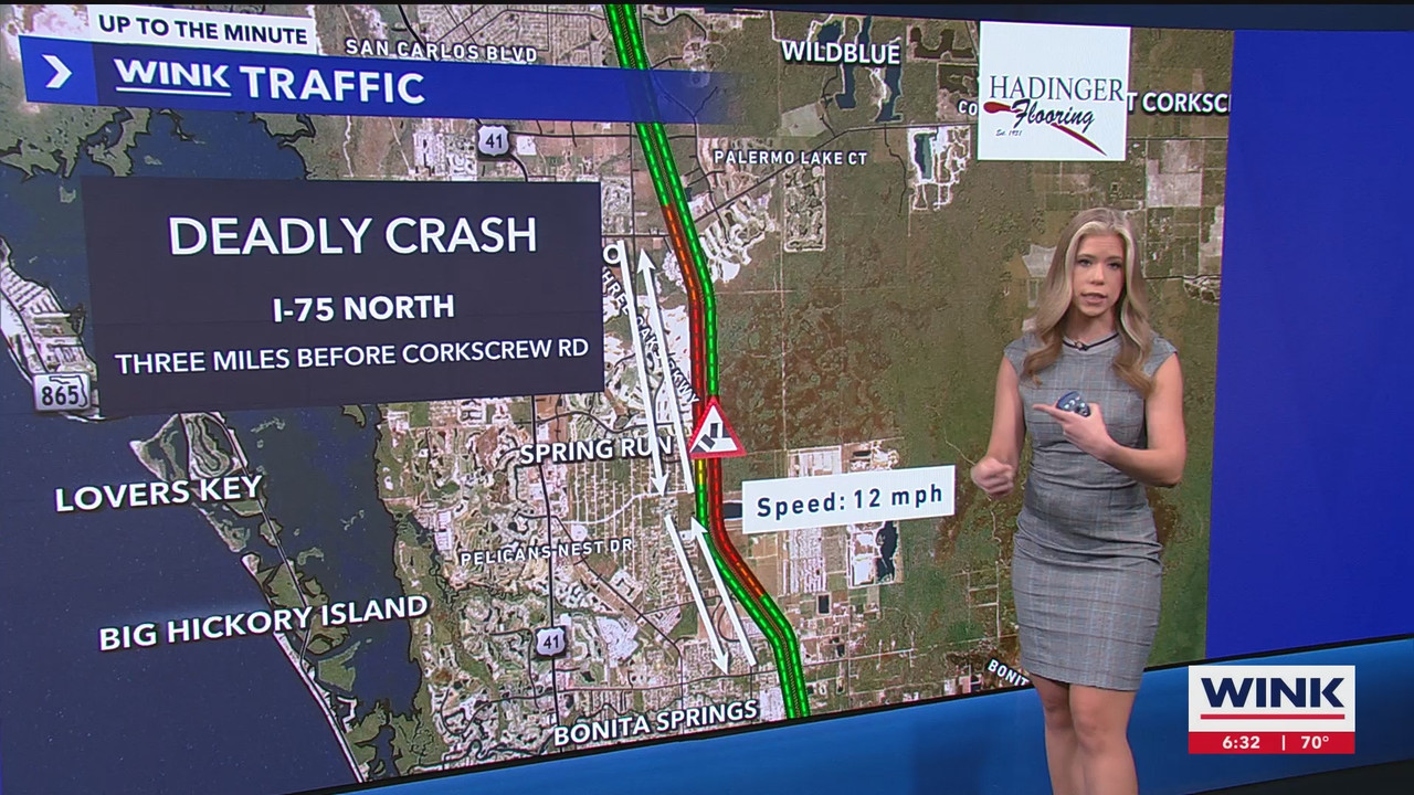 WINK News at 630am_20241101_10301100.ts_snapshot_02.50.951