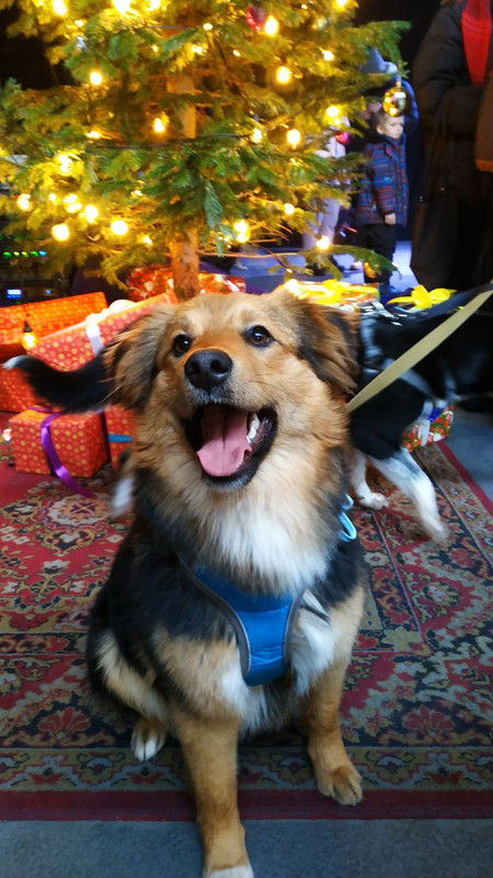 83AB2851-964B-4577-BA94-DB2765829B28