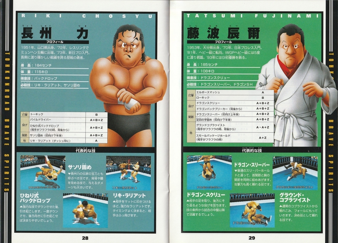 新日本プロレスリング闘魂炎導2公式ガイドブック: the next