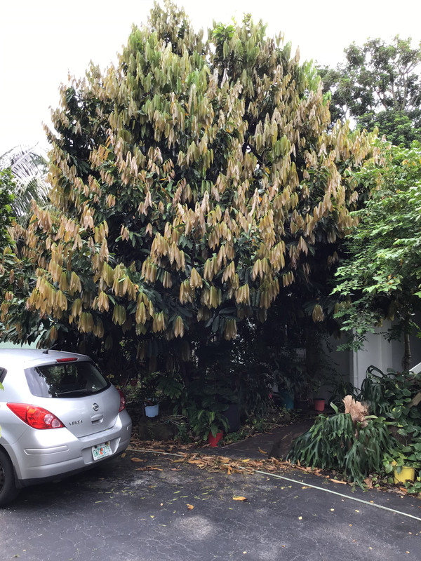 3D2C0F99-15D8-4ACA-901A-B4CB29B69691