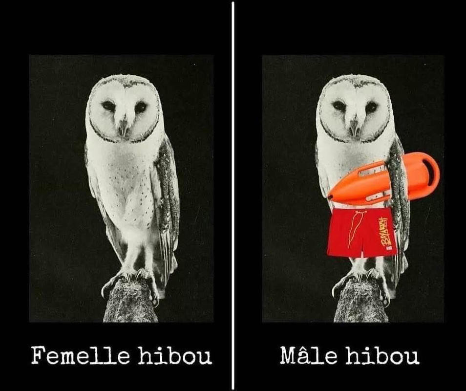 WhatsApp Image 2025-04-23 at 15.37.45 (5)