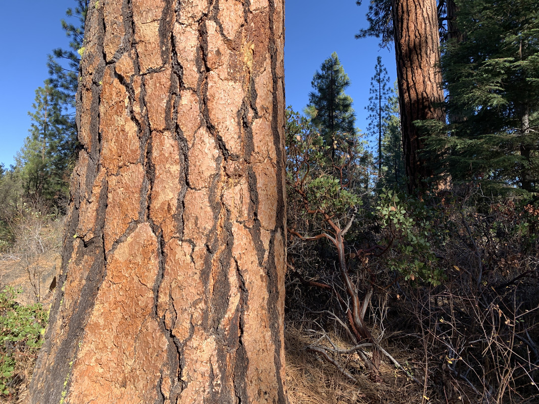 88B8479F-3654-488D-9CF4-F1CC14C6162F