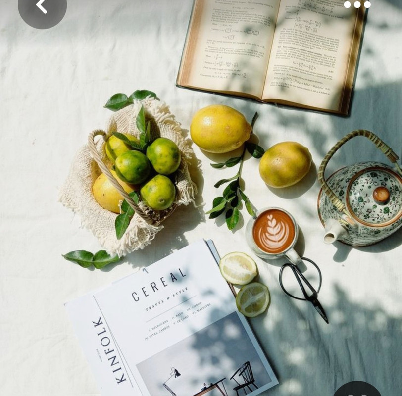 Screenshot_20230616_141356_Pinterest