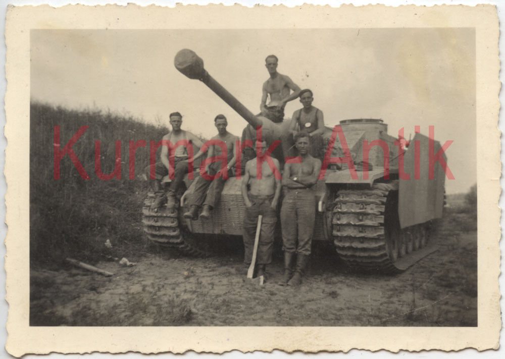 Foto Wehrmacht Gebirgsjäger Stug Panzer Jäger Abtl. Zimmerit Fro