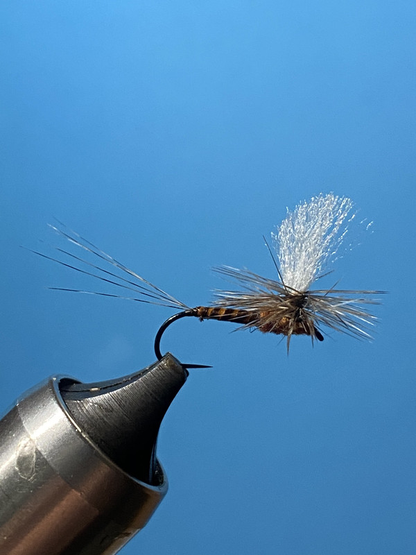 32740838-EED3-4B53-805C-1AE9373AD20E