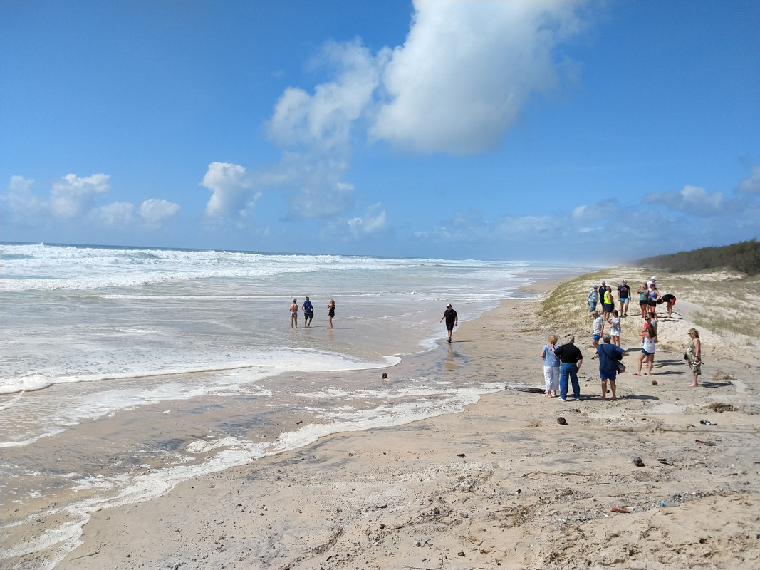 FRASER ISLAND - AUSTRALIA , "QUE GRAN PAIS" (4)