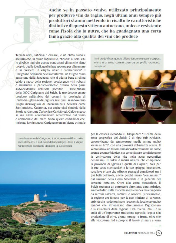 melaverde Feb 2024 (12)