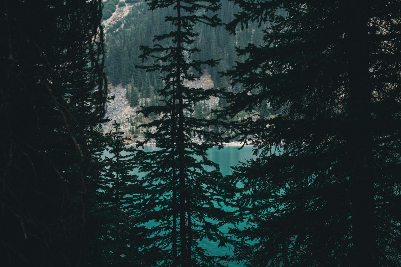 ali kazal Lirh Oxdc0s U unsplash
