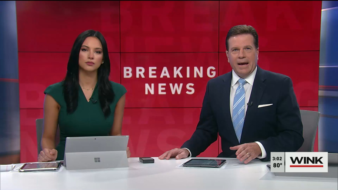 01.05 - 20.00.00 - WINK News at 3pm  ᴺᵉʷ..ts_snapshot_00.08.37.848