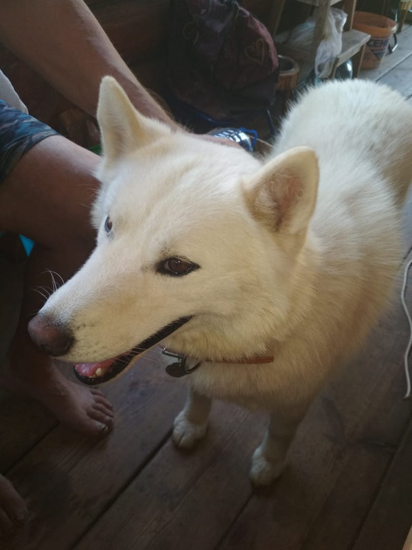 33B4E820-FFAA-432D-9541-F6099557F574