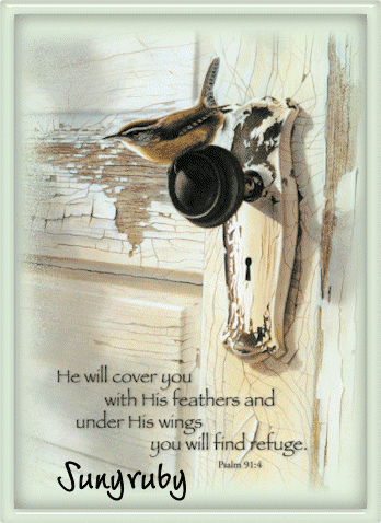 Sunyruby-Refuge-Bird