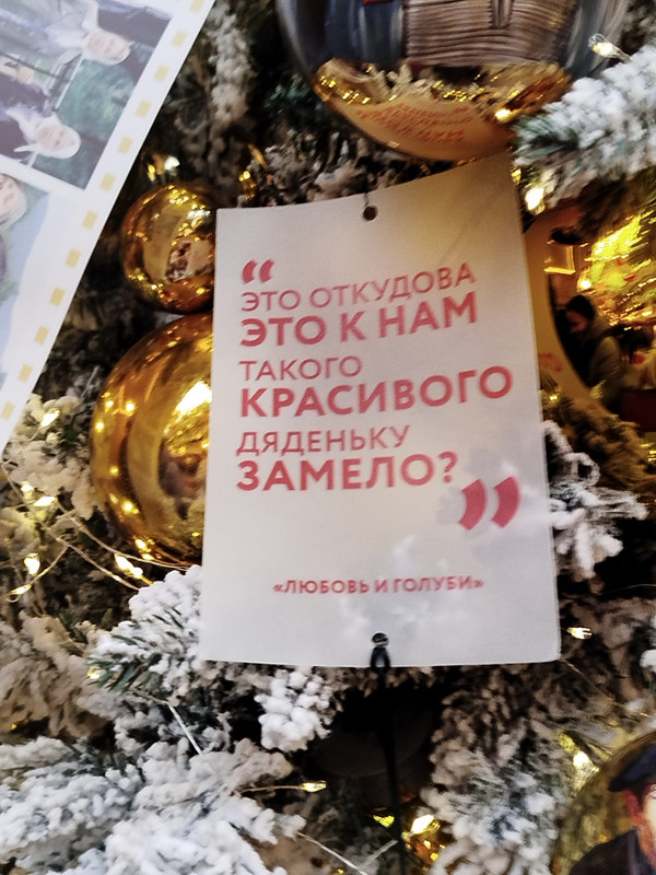 Ладья и Предновогодняя Москва 2025 073