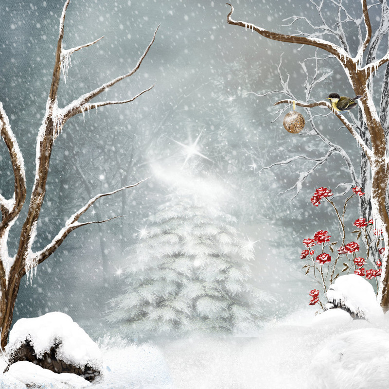 Christmas Dreams Papers (10)
