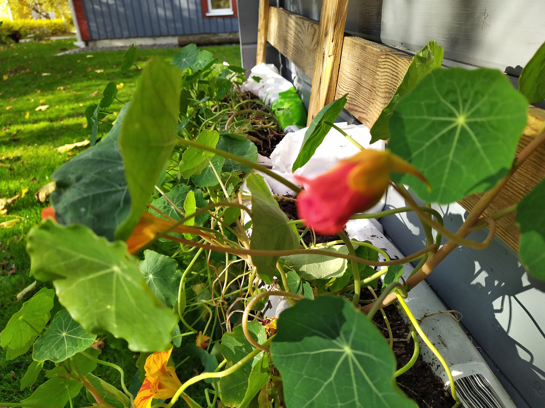 IMG_20201015_101705