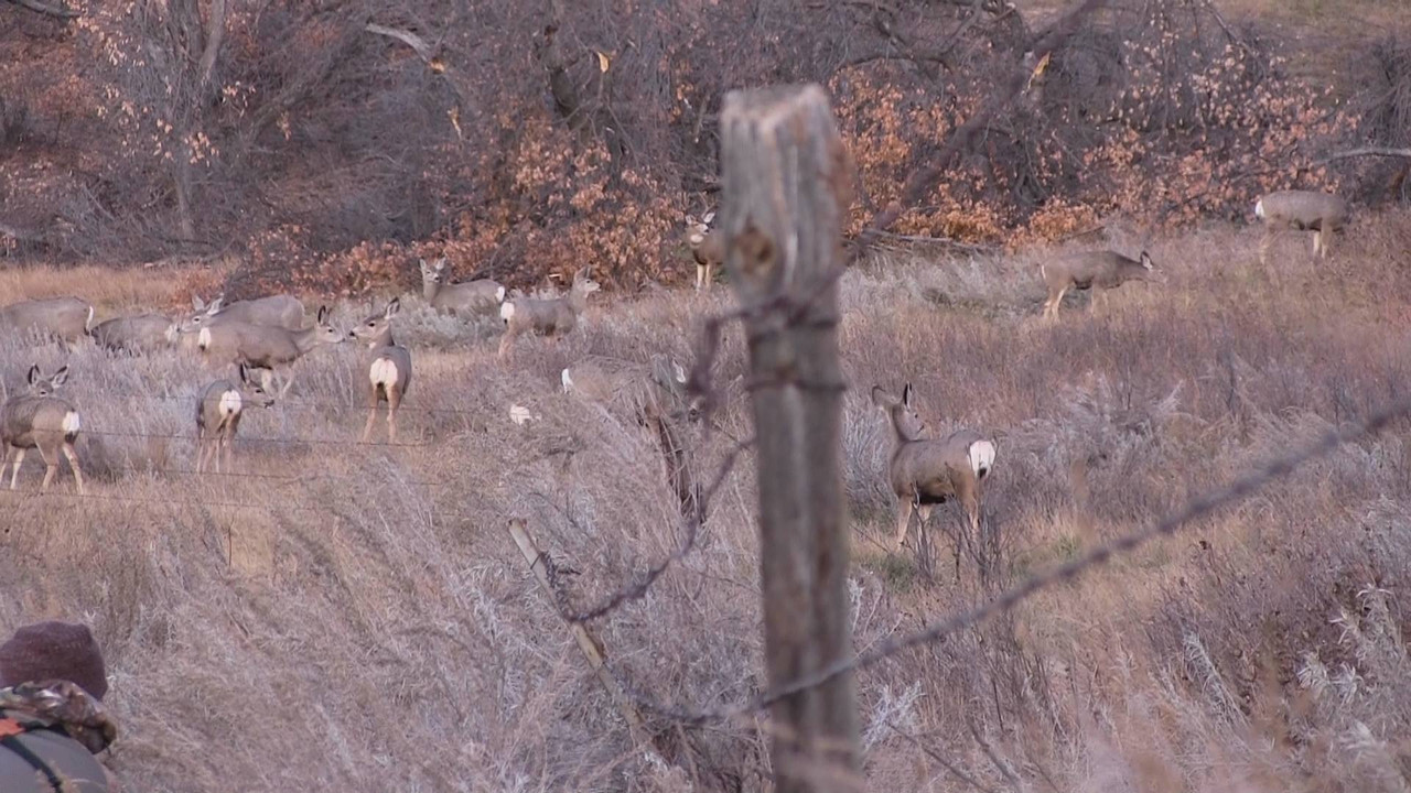 7C0A0FAD-7058-49AD-8F7F-57C6FADFFEDE