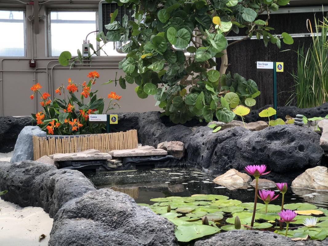 4E164B49-06E6-47DA-B0CE-5D8B0C361C11