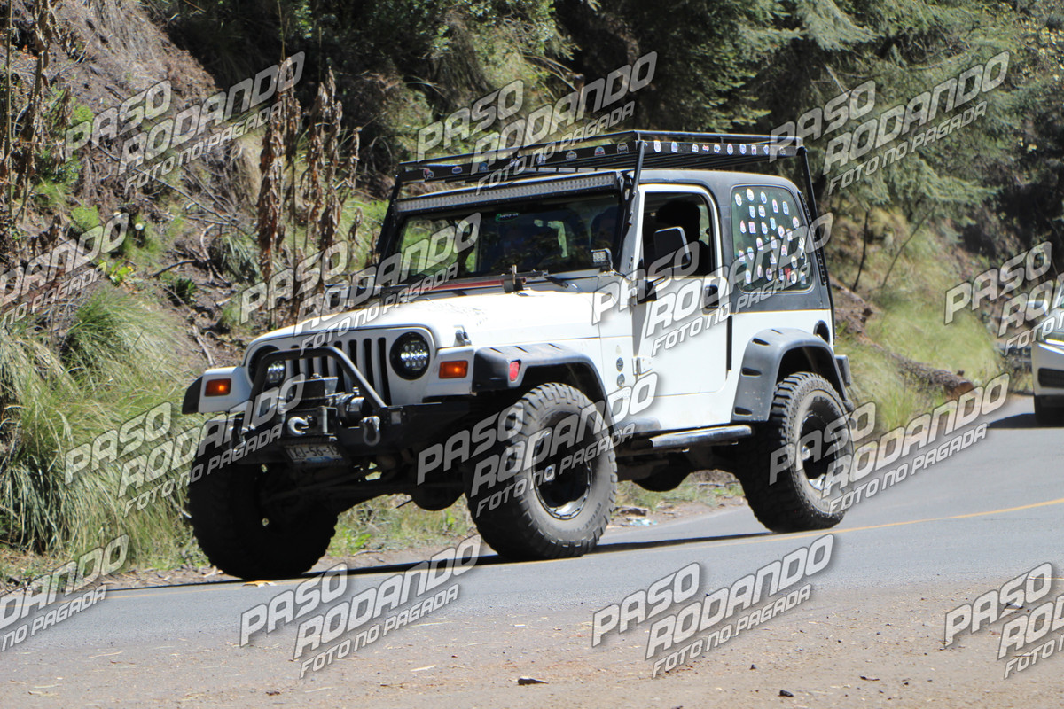 IMG 9331 wm 283510 8999999999 watermarked — Postimages
