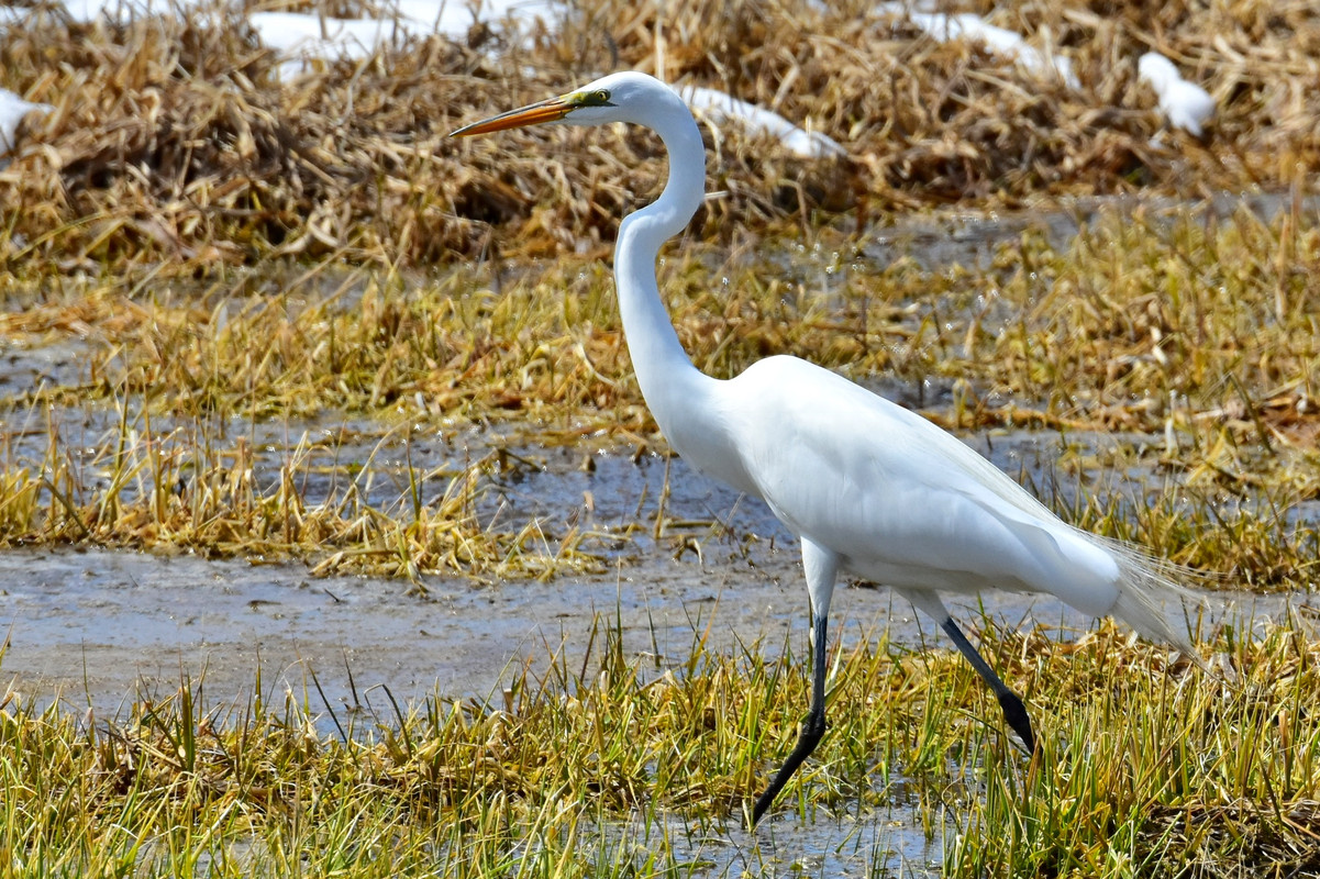 8559FBD9-B758-44E4-A610-6B925F1C61F0