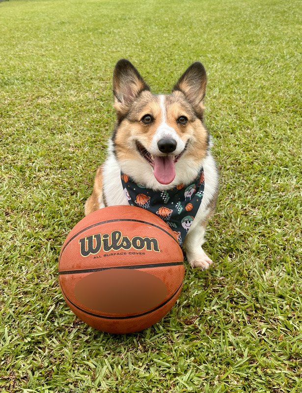 Mini Hoopers winner: Keiko Tanaka