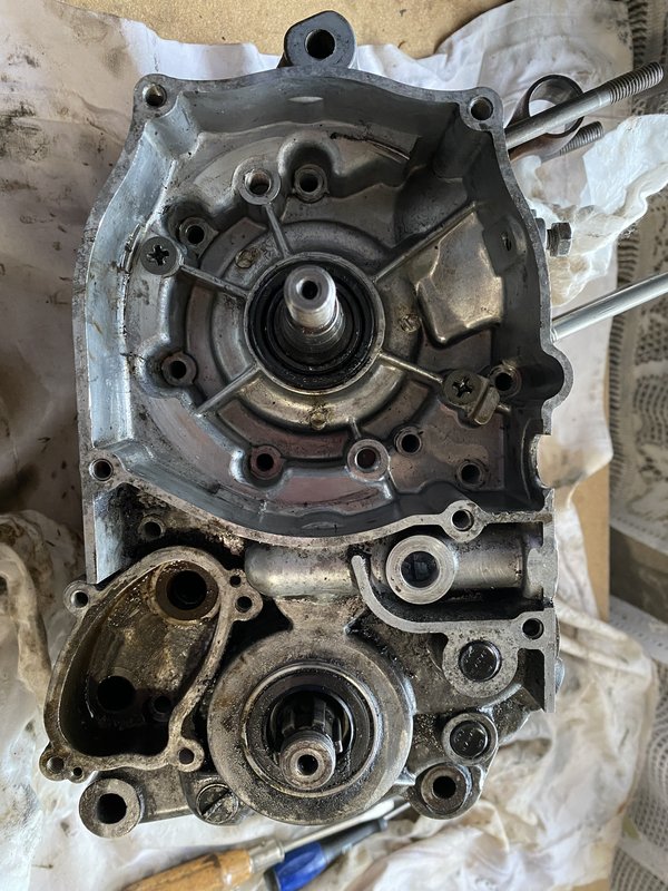 F0D61971-5040-4B50-8ADE-237743801C3B