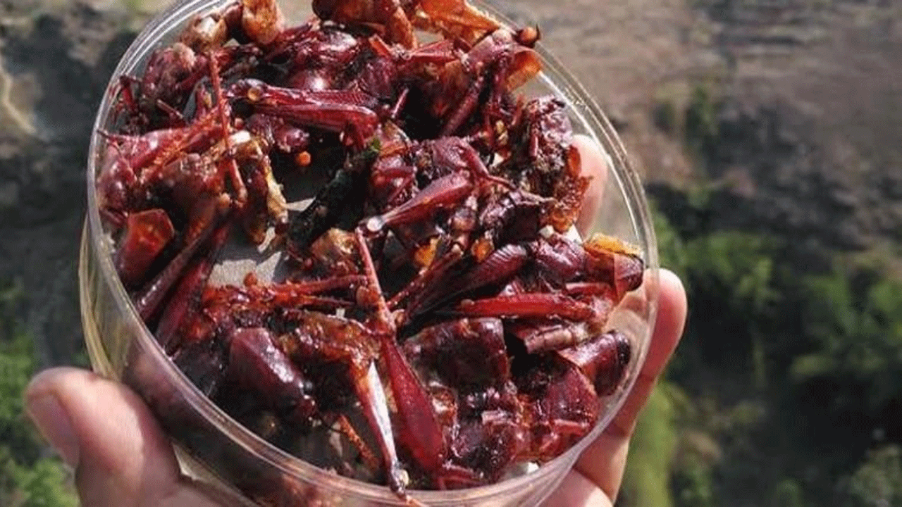 Mencicipi Didih: Sensasi Kuliner Ekstrem Berbasis Darah yang Bikin Penasaran