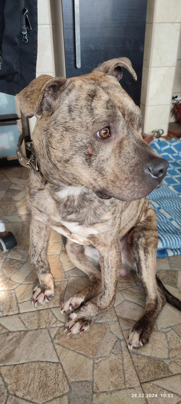 WhatsApp Image 2024-02-28 at 10.58.38 (2)