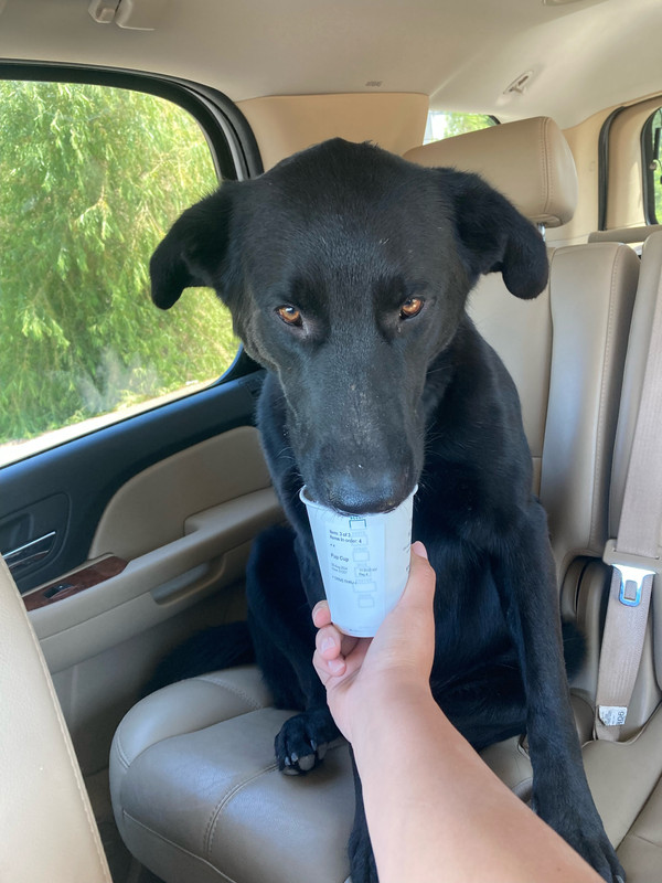 C574F731-9B78-4979-8B4B-F08636AEF242