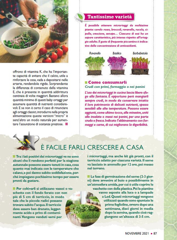 Sal Nat Nov 2021 (12)