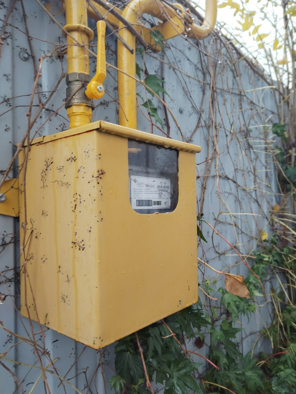 IMG_20231204_145728_edit_93694092375924