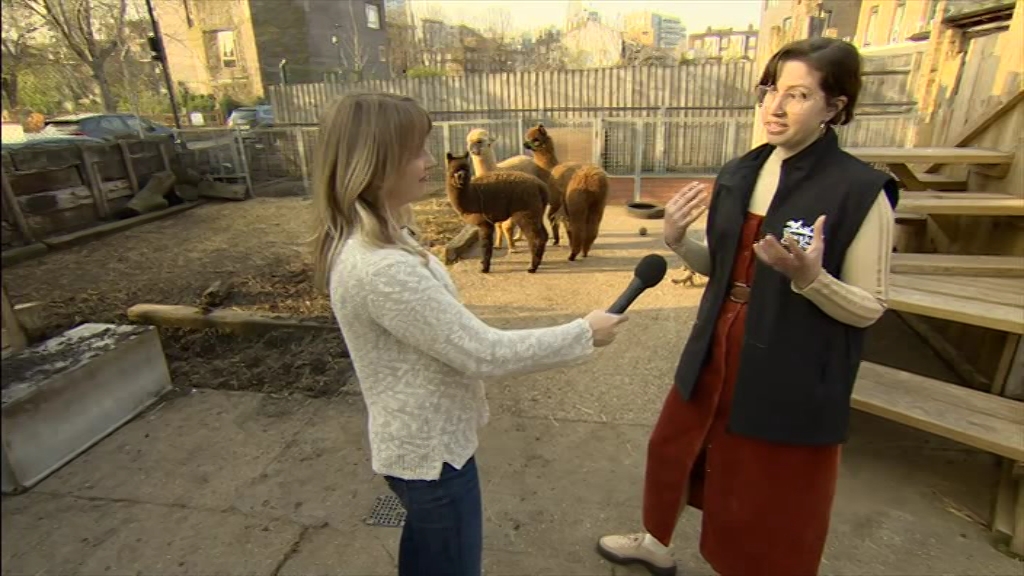 BBC London News_20220324_18301900.ts_snapshot_24.26.345