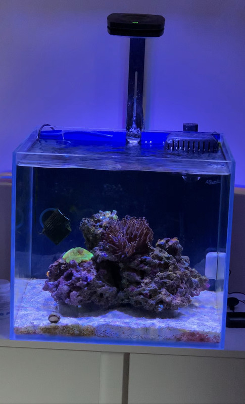 21DC4E59-6EF3-40E0-BB50-D31EBA3288FC