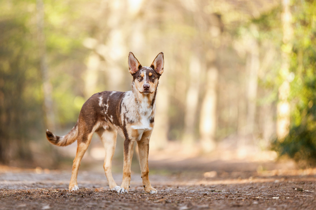 8A45A0C3-201A-41B7-A17C-59B2859B9FDC