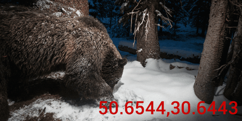 GIF-20260407-070039-492.gif