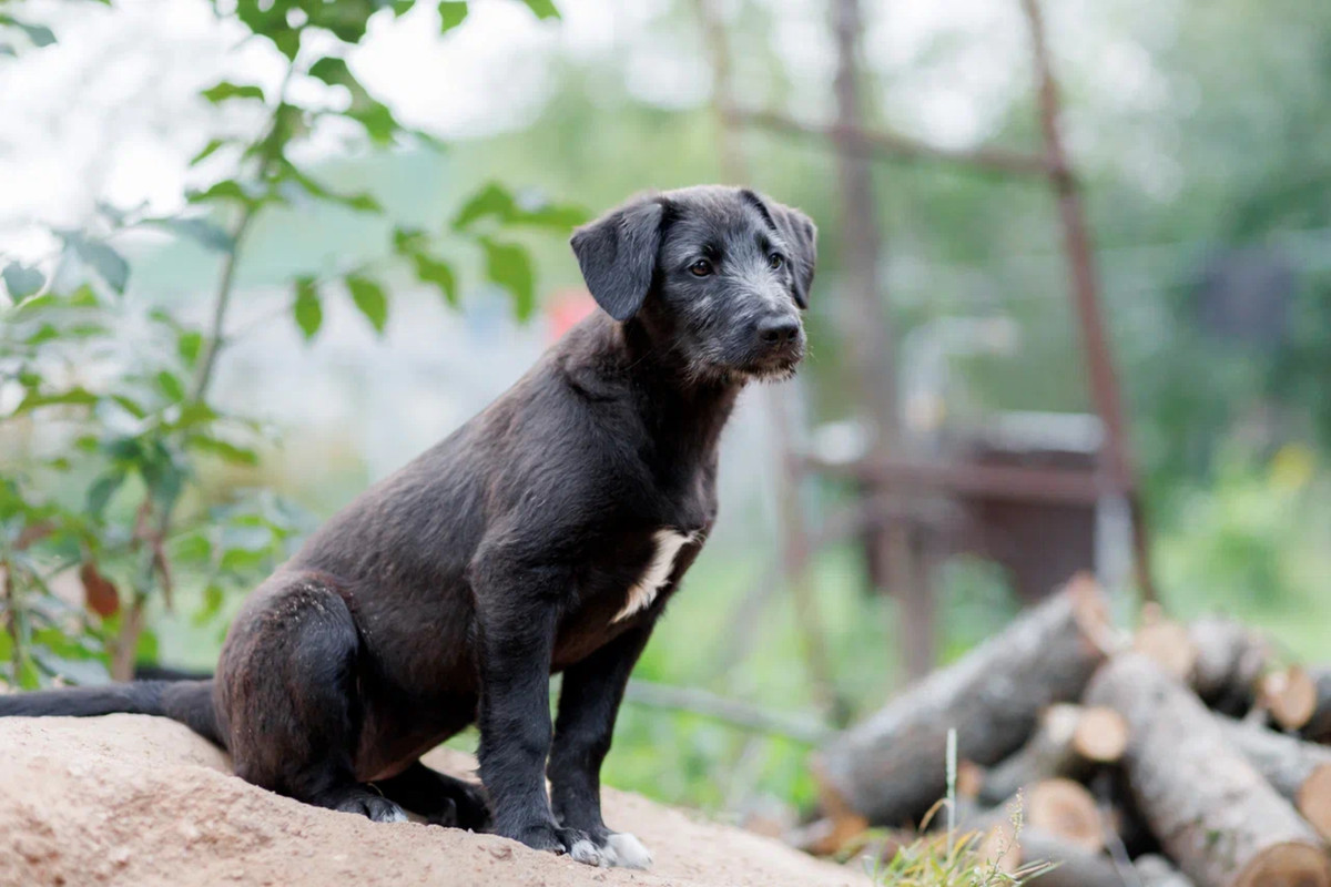 resize-image-online.com_8jpg_PoASxVTF