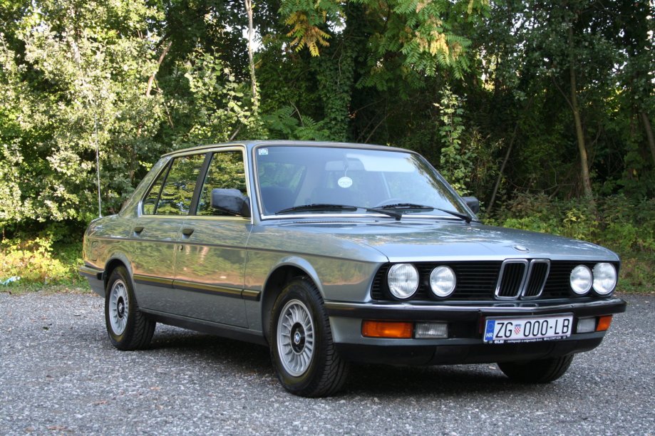 bmw-serija-5-518i-slika-85335160