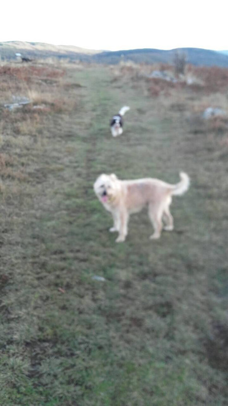 56A51829-70ED-4866-B16A-F246AA9B735B