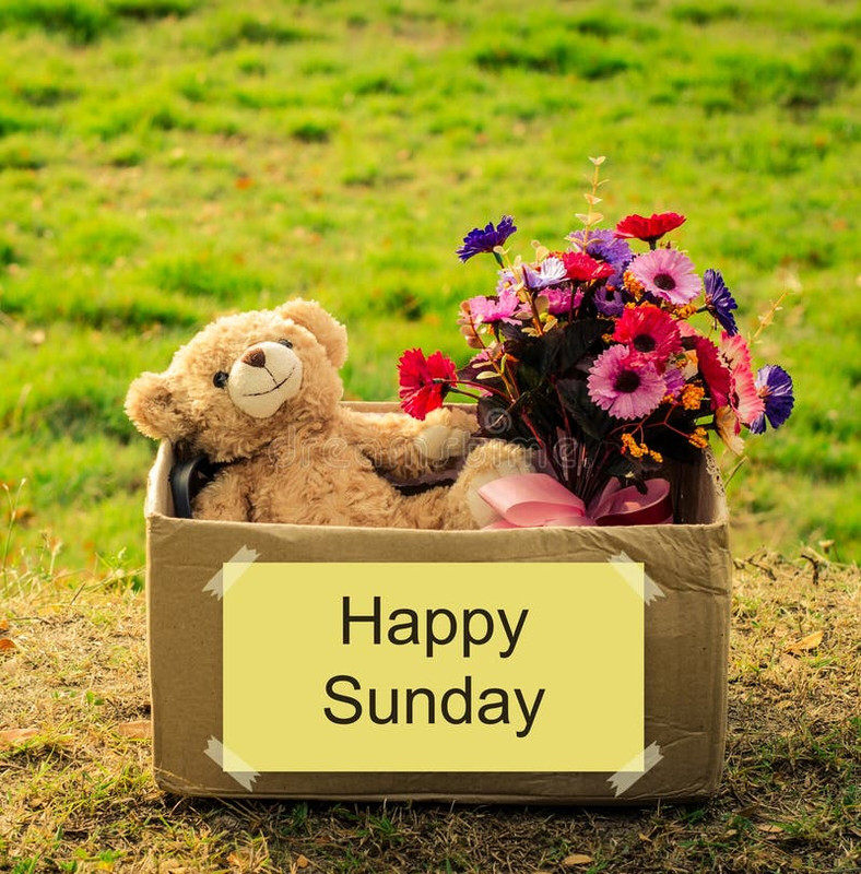bear-flower-bouquet-box-happy-sunday-message-47734441