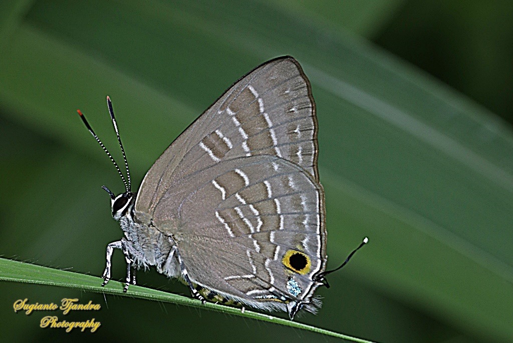 A9A0263B-F022-4D07-B5CC-779F444251E1