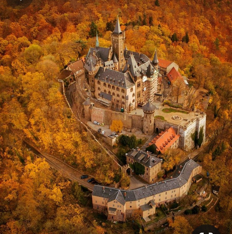 Screenshot_20231128_181701_Pinterest