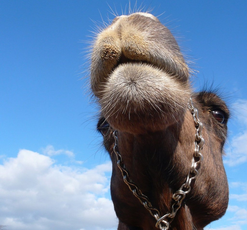 FF709D21-641D-4082-8776-A78C5897F65B