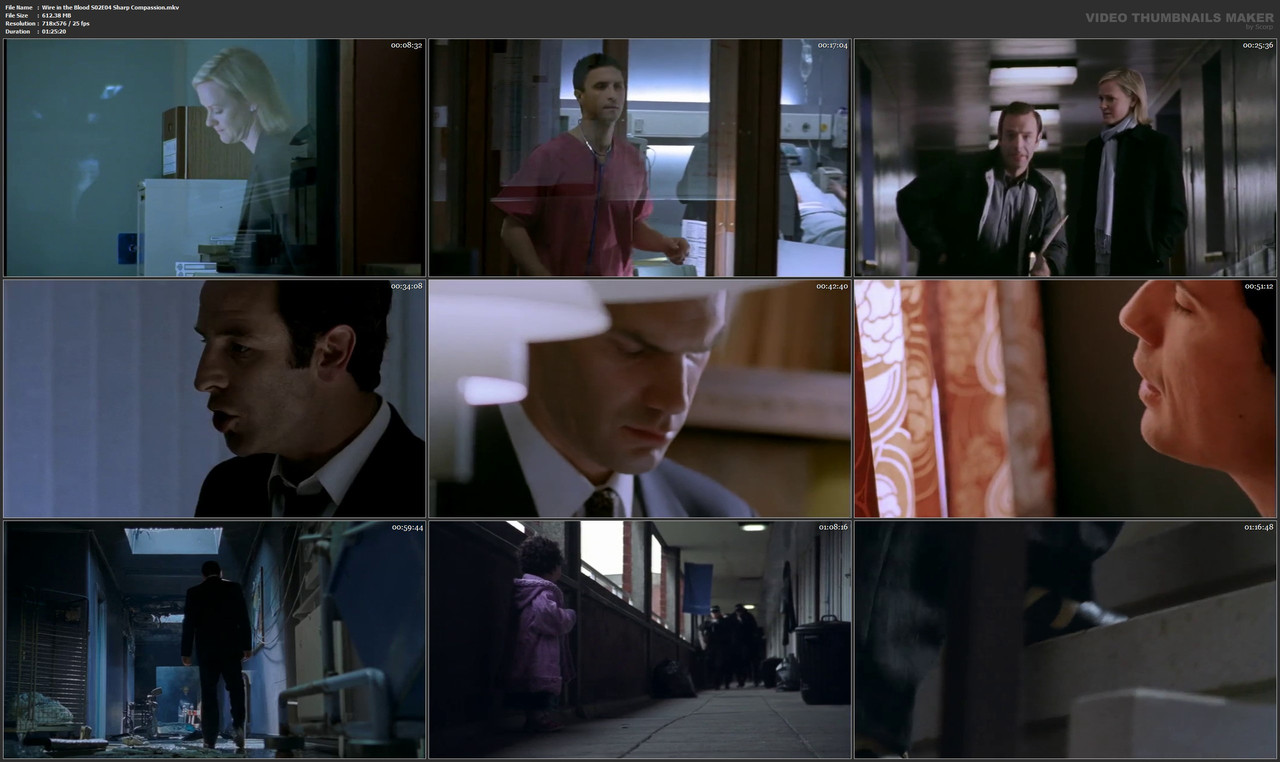 Wire in the Blood S02E04 Sharp Compassion.mkv