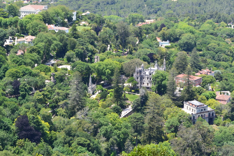 Slika