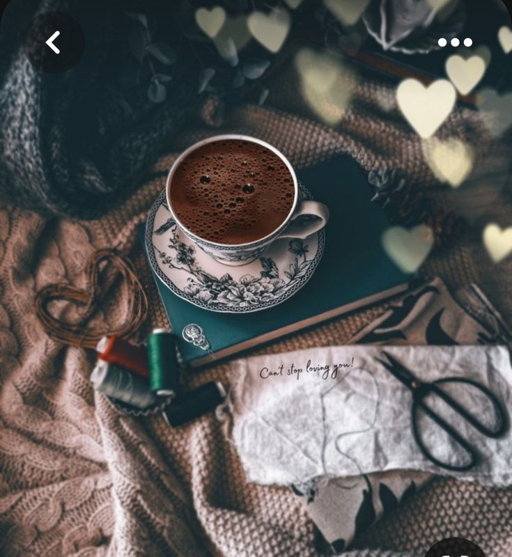 Screenshot_20230616_141101_Pinterest